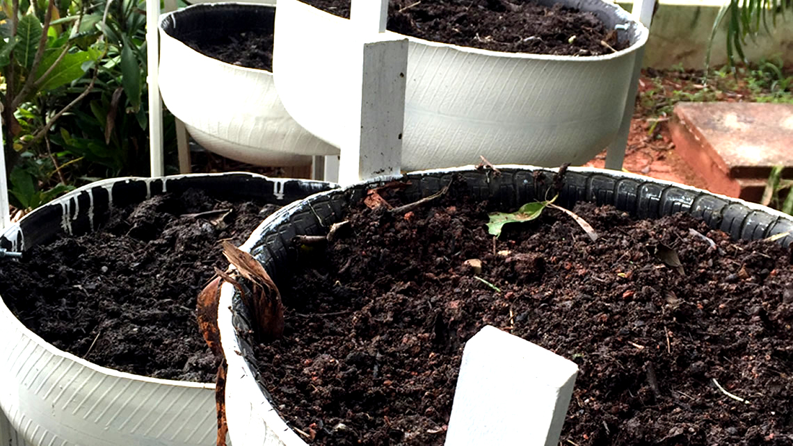 Horta Vertical